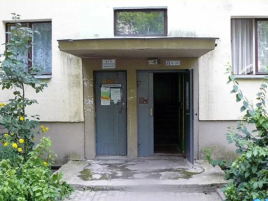  Дом №70 па вуліцы Сердзіча апанавалі блохі.