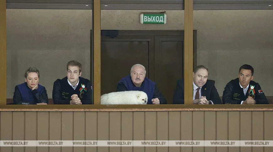 Александр Лукашенко и Умка на хоккее в Гродно 24 апреля 2023 года. Фото: БелТА