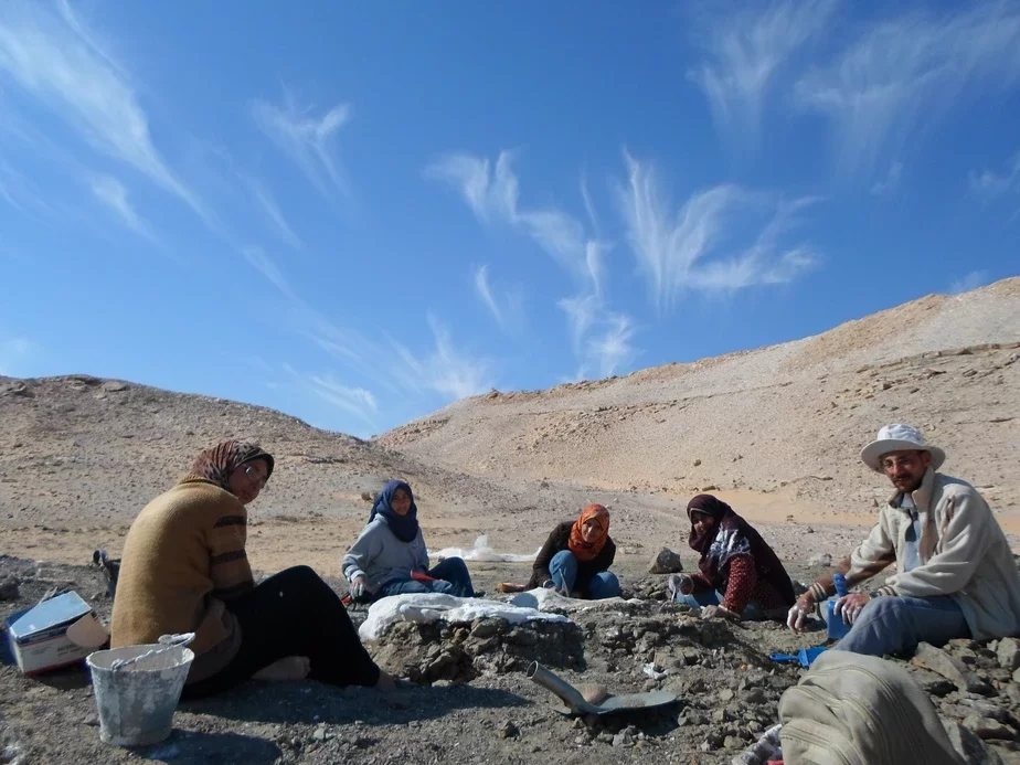 Палеонтологи во время раскопок