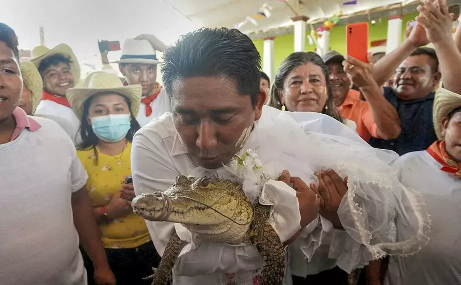 Виктор Уго Соса, мэр одного из мексиканских городов, на свадьбе вместе с самкой крокодила по кличке Алисия Адриано. Фото: © Rusvel Rasgado
